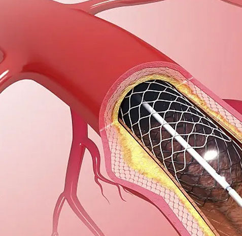 6t����(6TSPORTS)�����Źɷݹ�˾