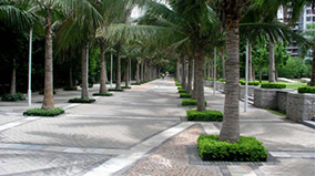 ÌÚ²©tengbo9885_Ê×Ò³(»¶ÓÄú)