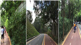 ÌÚ²©tengbo9885_Ê×Ò³(»¶ÓÄú)