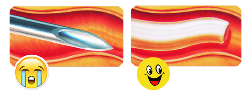 6t����(6TSPORTS)�����Źɷݹ�˾