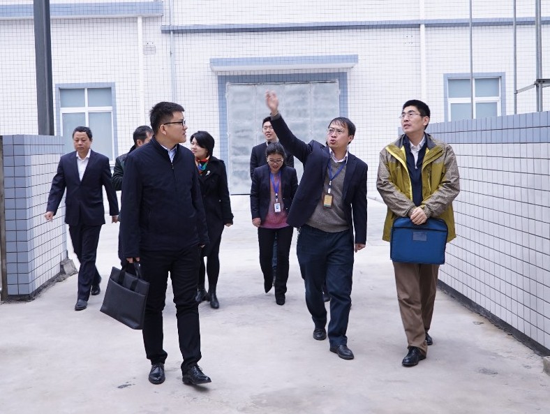 6t����(6TSPORTS)�����Źɷݹ�˾