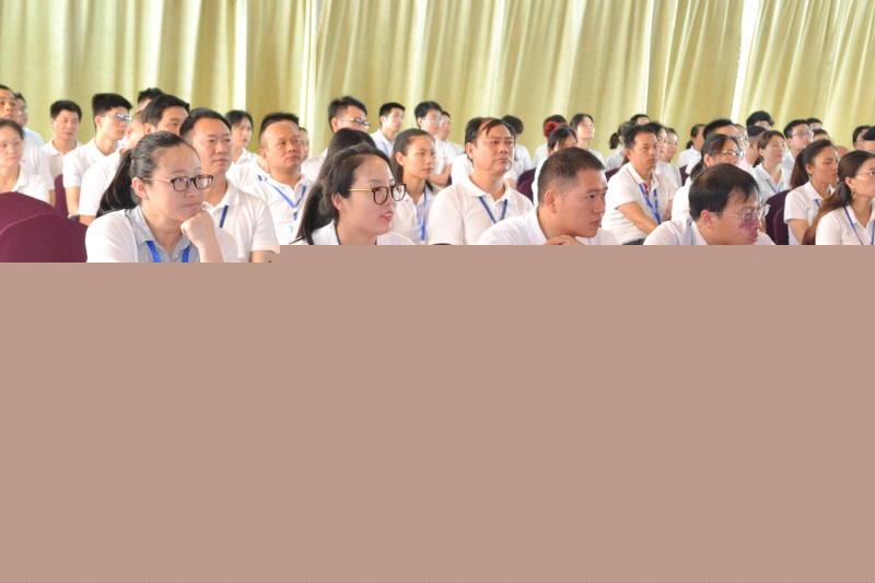 6t����(6TSPORTS)�����Źɷݹ�˾