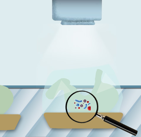 6t����(6TSPORTS)�����Źɷݹ�˾